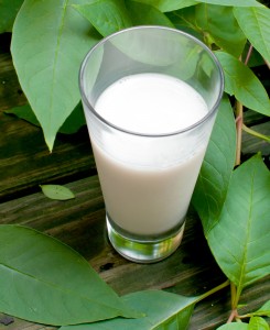 shutterstock_115135342