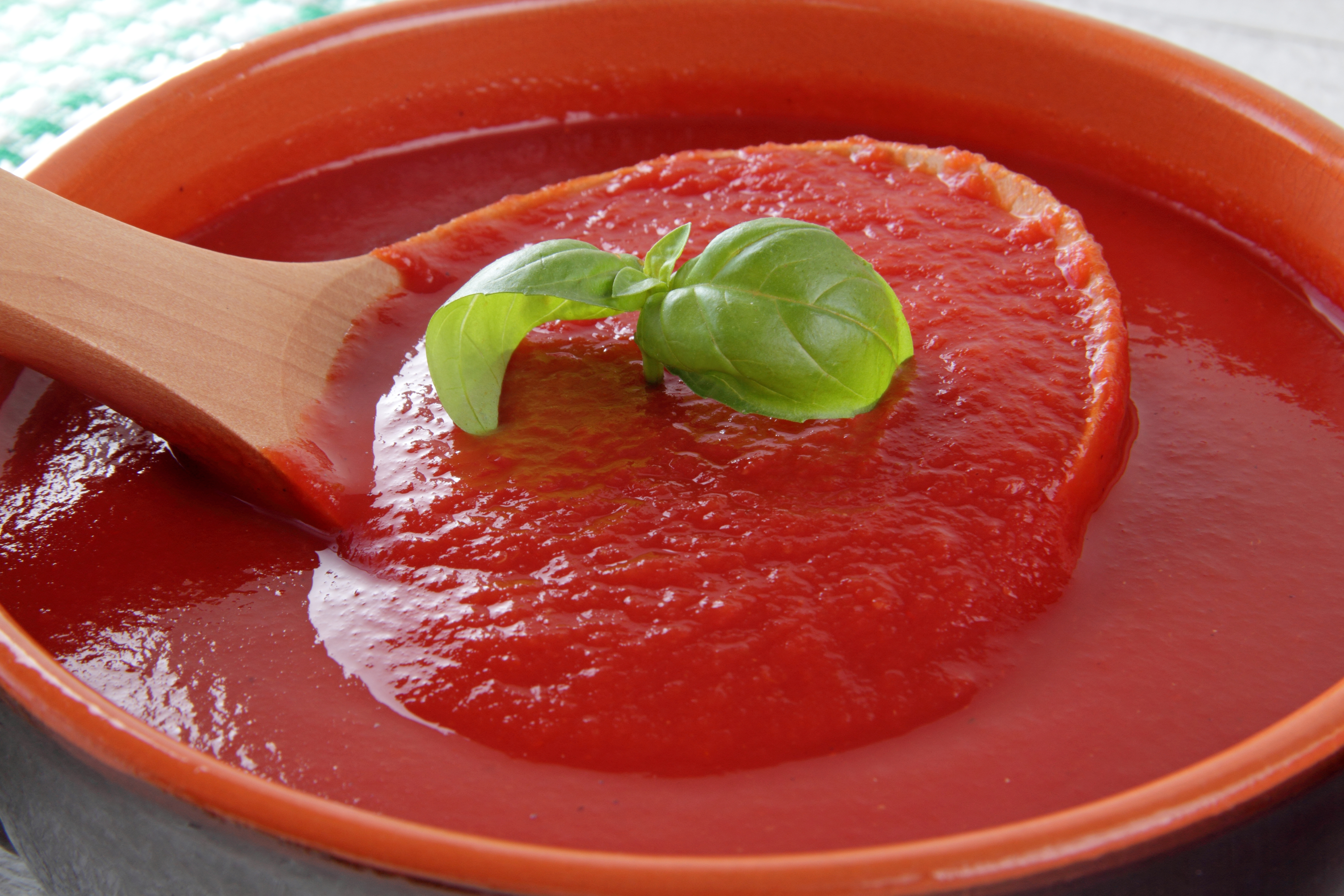 томатный соус для пиццы на зиму из помидор фото 80