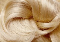 shutterstock_94564078